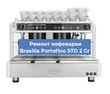 Замена прокладок на кофемашине Brasilia Portofino STD 2 Gr в Челябинске